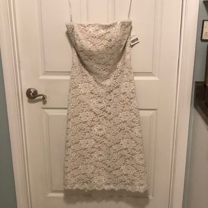 Elegant Lace Strapless Dress